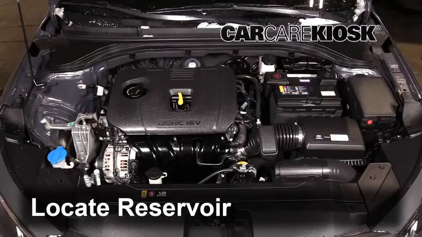 2019 Hyundai Elantra SE 2.0L 4 Cyl. Windshield Washer Fluid